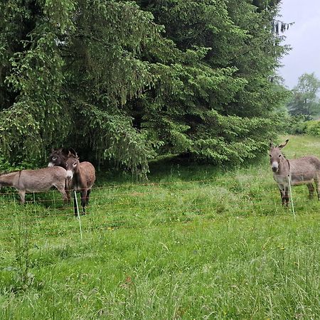 Maison Du Bonheur Gan Стая снимка